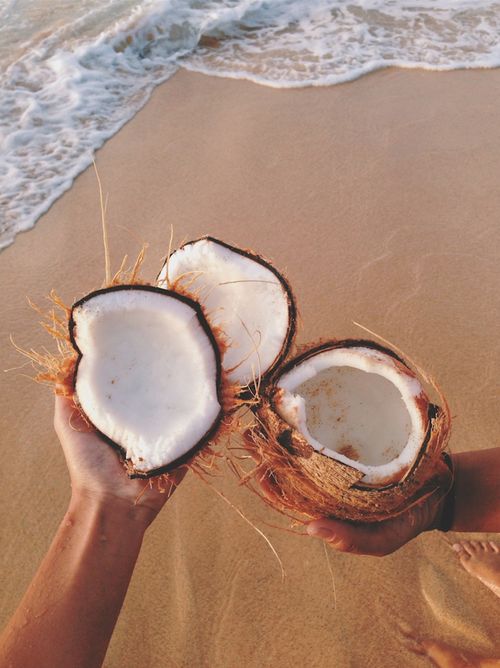 coconut